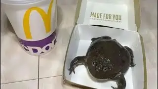 random memes i stole from the internet ylyl 39