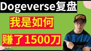 私募代币百分百盈利技巧！我是如何通过私募代币dogeverse，赚了1500刀！dogeverse复盘