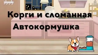 Корги Максяш и сломанная автокормушка !!!