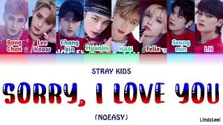 Stray Kids "SORRY, I LOVE YOU" colorcodedlyrics [Han-Rom-Eng]