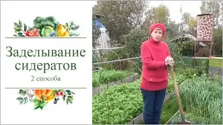 ДВА СПОСОБА ЗАДЕЛЫВАНИЯ СИДЕРАТОВ В ЗЕМЛЮ.