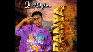 2Van Fleva Ft Chafu Killer _Panya_ Official Audio (Track No1).