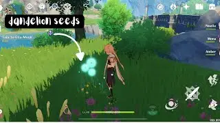 Finding 3 Perfect Dandelion Seeds | Genshin Impact