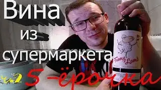 Wines from the Pyaterochka supermarket!!! Poop in a pretty wrapper!!!! Tasting! Wine. Cheap stuff.
