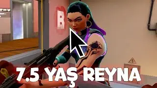 TAKIMA 7.5 YAŞINDA REYNA GELDİ!! AMA 7 DEĞİL 7.5