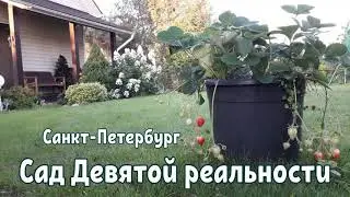 Любимый САД и его хозяйка!❤
