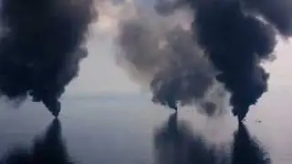 BP Slick Covers Dolphins and Whales