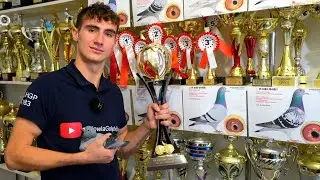 Hodowla Bućko - PZHGP 0183 Szydłowiec / Młoda krew & Mistrzowskie wyniki 🏆🥇🎉