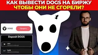 ⚠️ КАК ВЫВЕСТИ DOGS НА БИРЖУ ДЛЯ ПРОДАЖИ? ПОШАГОВАЯ ИНСТРУКЦИЯ