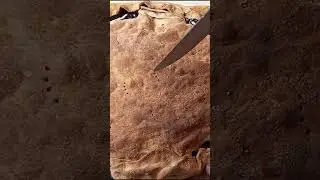 Мой быстрый пирог с голубикой