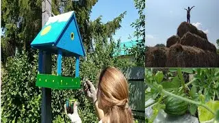 Хорошо в деревне жить!!! Балдею в деревне!!! Деревенские будни 🤗🐄🐓