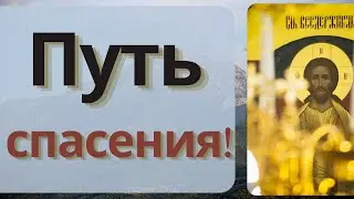 Почему Господь посылает скорьби? Как ослабить скорби?