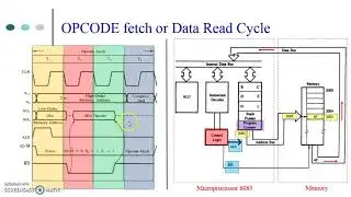 Timing diagram of 8085 Lect 2