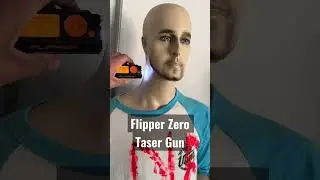 Flipper Zero Taser Gun 