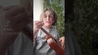 Скейтер Алена щвец  на укулеле разбор