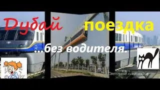 #Дубай
