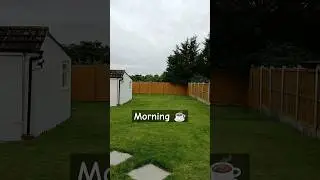Morning ☕ | #morning #tea #garden #romford #london #uk