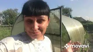 Ха Ха Хайпуем 🤣🤣🤣 и жарим пирог с мясом и картошкой 🤤🤤🤤👍