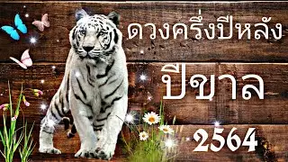 ดวงคนที่เกิดปีขาล ครึ่งปีหลัง2564 งาน เงิน ความรัก@เทพยุทธ์แห่งจิตวิญญาณ