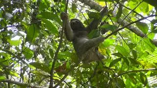 Our Trip to Panama  spring 2022