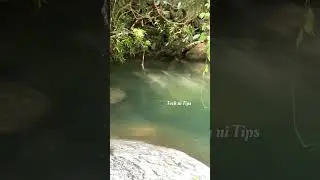 Meenmutty Waterfalls,Kallar Trivandrum #asmr#travel#nature #relaxingnaturesound#waterfall #trucking