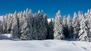 Зимние пейзажи.  Новогоднее настроение.  Сказочная музыка