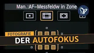 Digitale Kameras verstehen: Digitale Fotografie lernen – Der Autofokus