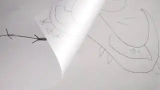 Trained Dragon Life