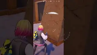 Other dude ran away