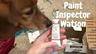 Unboxing Michael Wilcox School of Color Paints with Watson’s Help