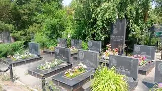 Чикуновская ОПГ г.Саратов