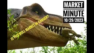 Is this Market in Trouble?  -  Market Minute 29 October 2023