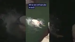 इन देशो के लोग पीते है सबसे साफ़ पानी ?