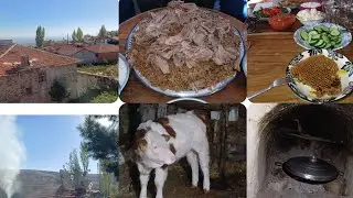 سبب لي خلاني نقرر نبدل حياتي من🏢 إلى 🛖.غير طاقة لاجابية والفرحة معيا 💪💝