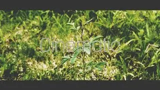 Cinematic Video with Smartphone Camera 2017!
