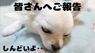 皆さんへご報告。手術の結果について‥