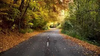 Beautiful Autumn Road - Copyright Free Videos