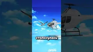Кто ваш фаворит? Я за голубя