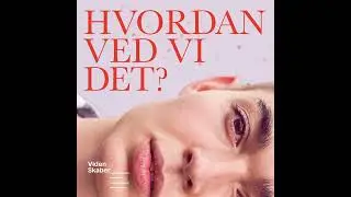 "Vi har sprunget buk over Turing-testen"