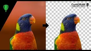 CorelDRAW tutorial - how to remove background from image using Magic Wand Tool 