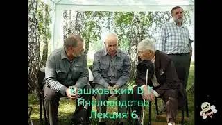 Кашковский В.Г. лекция по пчеловодству № 6