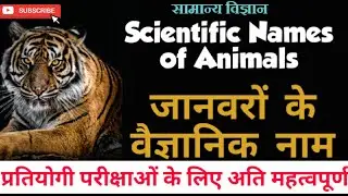 scientific names of animals/animals scientific names in English/janvaro ke vaigyanik naam