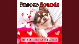 Lofi Harmony for Dogs (feat. Relaxmydog & Calming for Dogs)