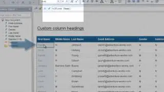 Custom Column Headings