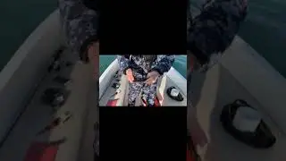 Поймал ската морская лиса в Сочи. Отпустил. Рыбалка в Сочи.