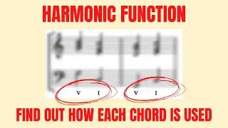 Harmonic Function | Music Theory For Bee-ginners