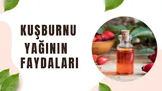 Kuşburnu Yağının Faydaları ve Kullanımı