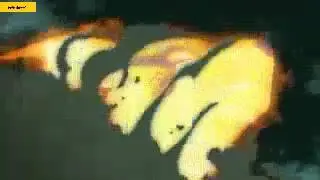 Naruto dan Minato versus tobi