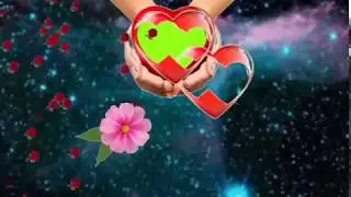 Green screen background flower animation effects