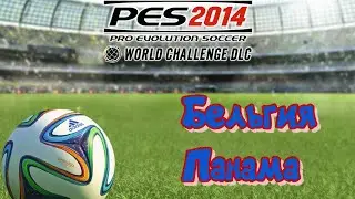 PES 2014 WC. Belgium - Panama